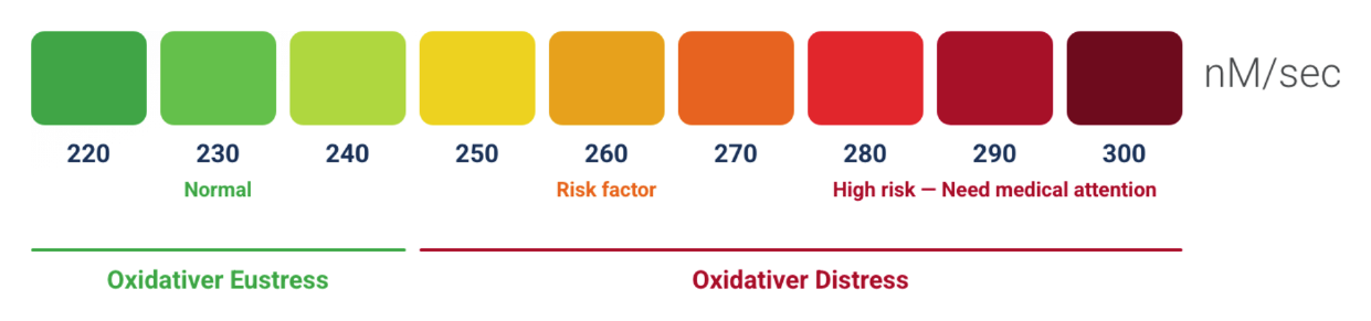 CMA-Referenzskala von 220 bis 300 nM/s: 220–240 oxidativer Eustress (normal, grün), 250–270 Risiko (gelb-orange), 280–300 hohes Risiko (rot).